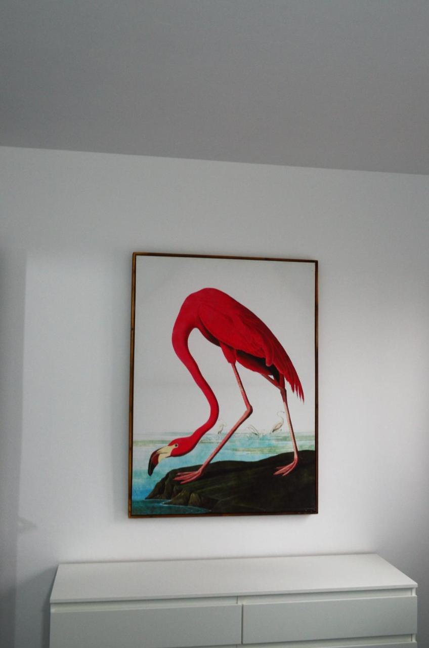 Apartamento Sauco Los Llanos De Aridane Esterno foto